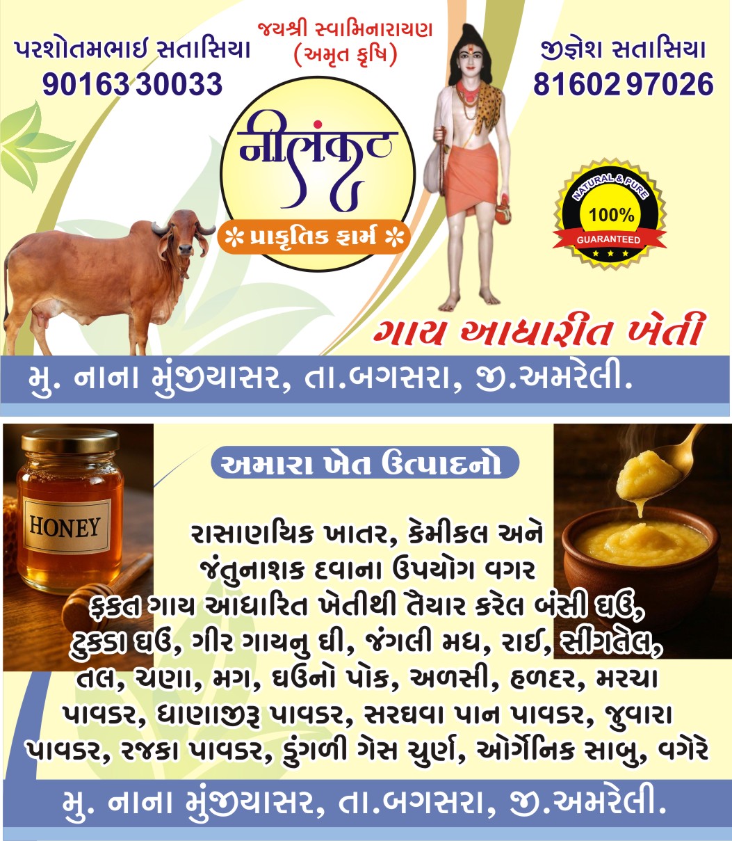 જંગલી મધ ( forest honey 🍯) - Image 8